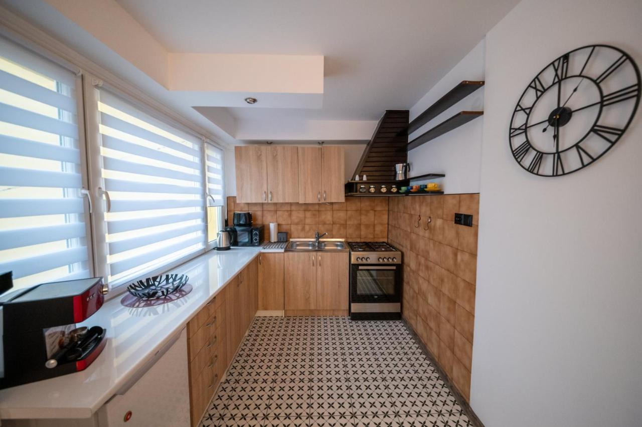 Art Apartament 2 אוסטריצקי דולנה מראה חיצוני תמונה