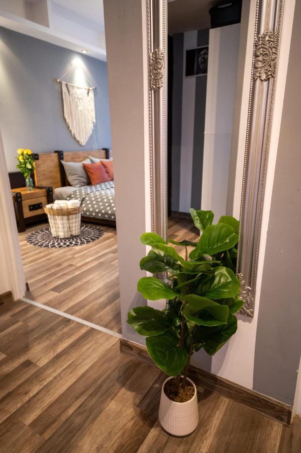 Art Apartament 2 אוסטריצקי דולנה מראה חיצוני תמונה